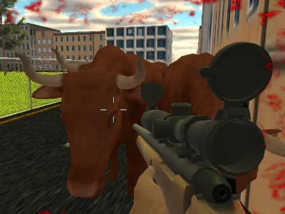 Crazy Bull Attack